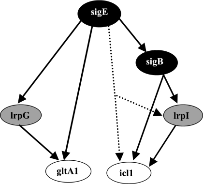 FIG. 7.