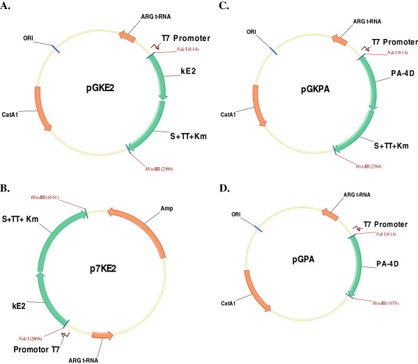 Figure 2 