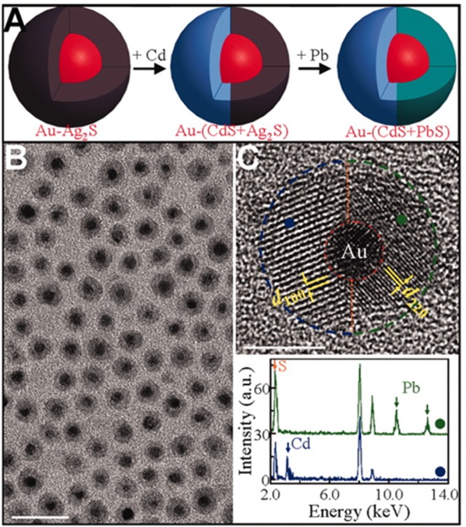 Figure 31