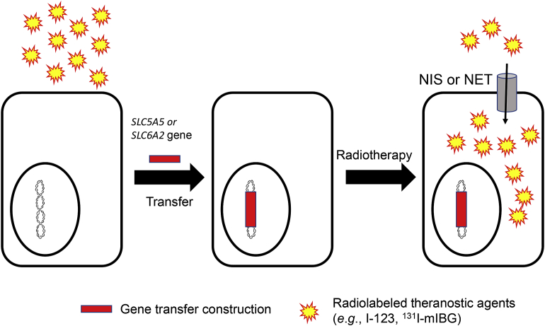 Figure 2