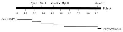 FIG. 1