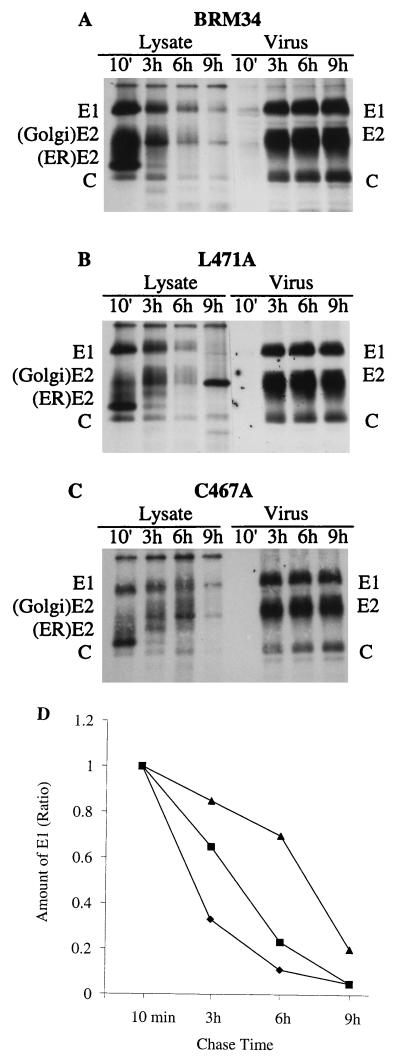 FIG. 6