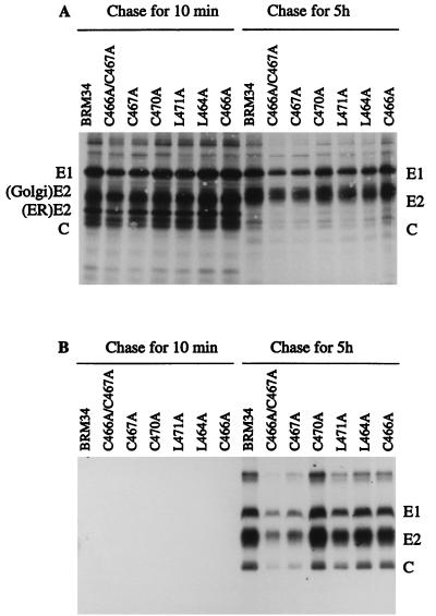 FIG. 5