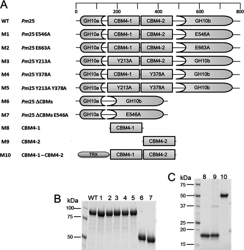 FIG 4