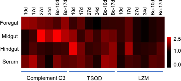 Figure 4