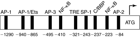 FIG. 5.