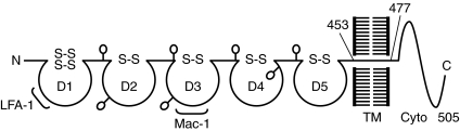 FIG. 3.