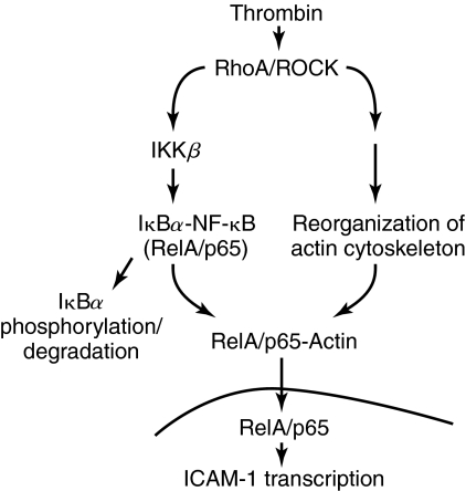 FIG. 8.