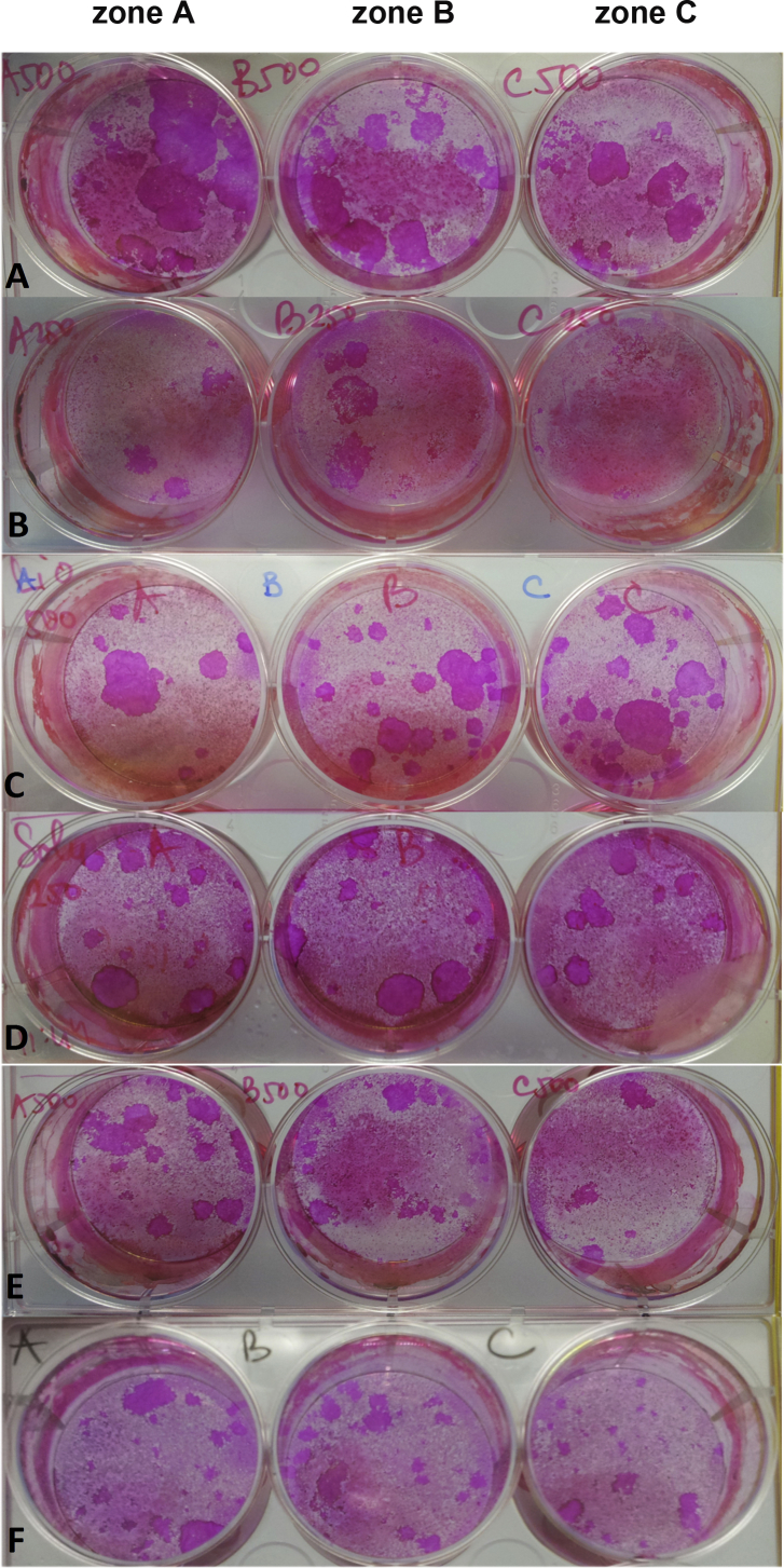 Suppl. Fig. 3