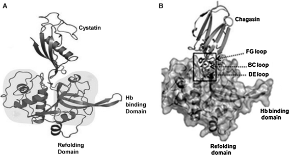 Fig. 8