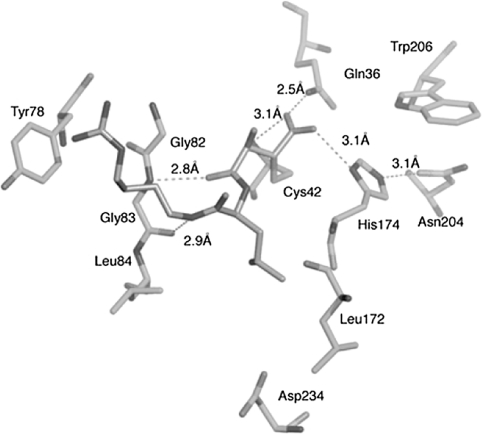 Fig. 6