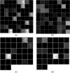 Fig. 8