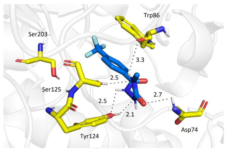 Figure 2