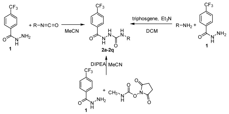 Scheme 2