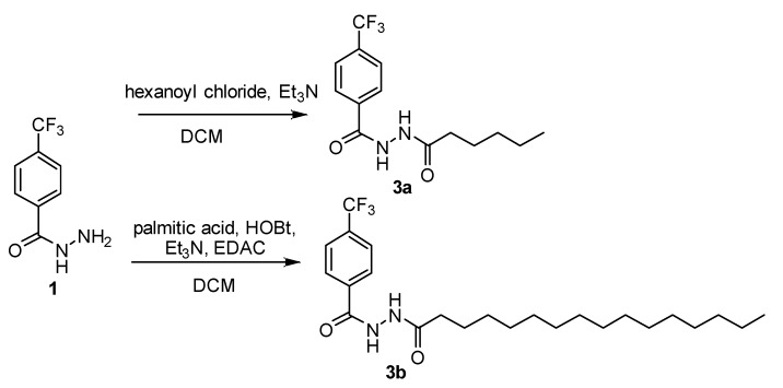 Scheme 3