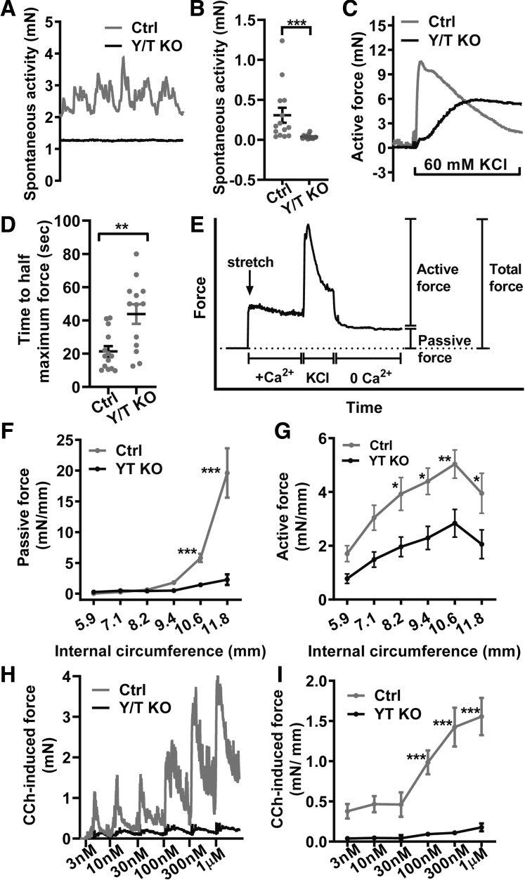 Figure 6