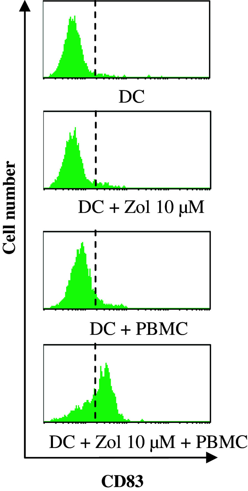 Fig. 7