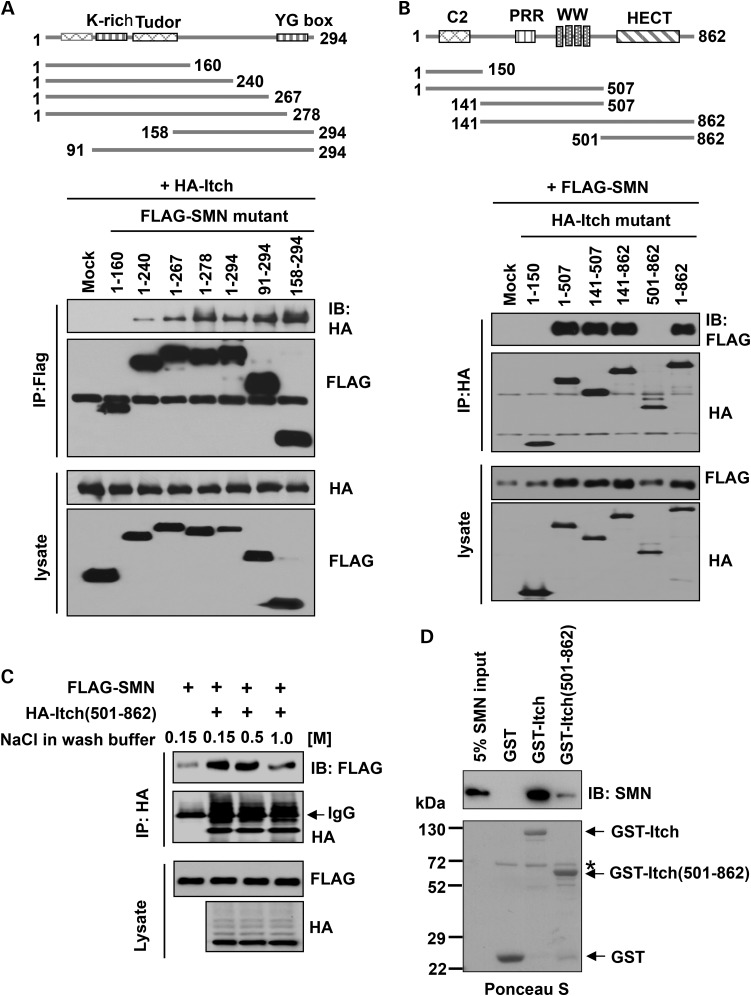 Figure 2.