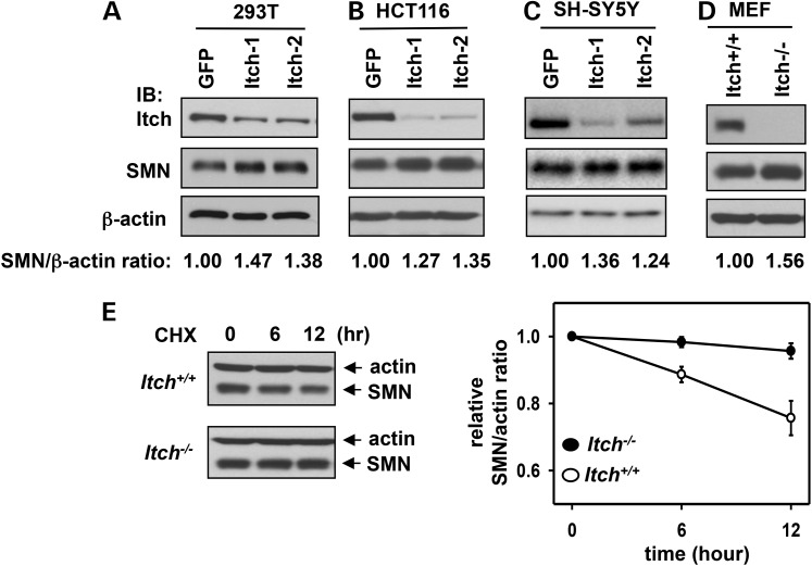 Figure 4.