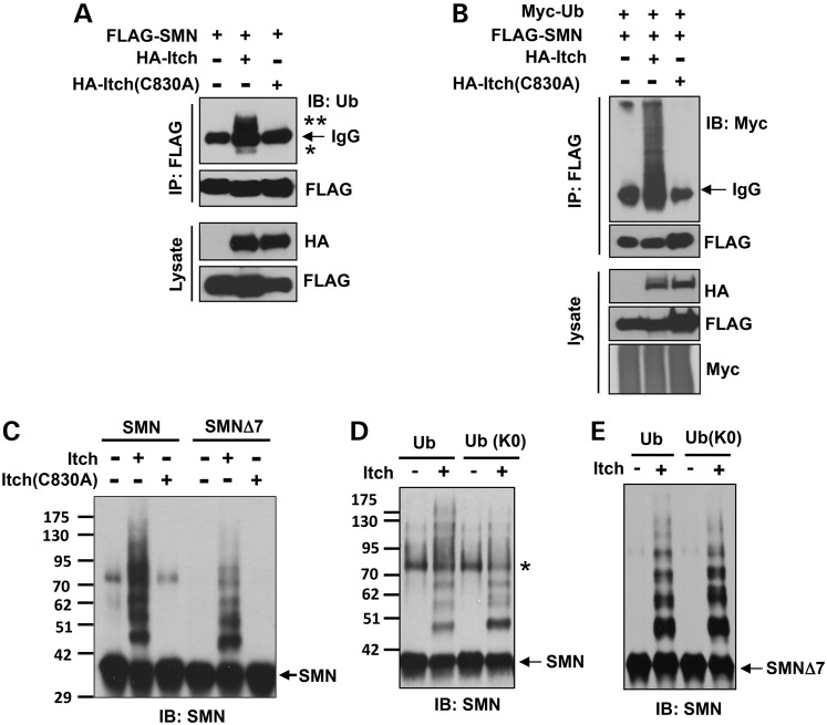 Figure 3.