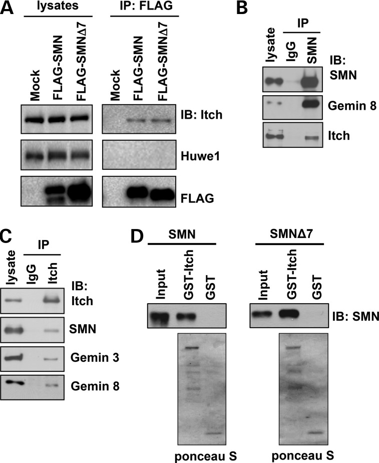 Figure 1.