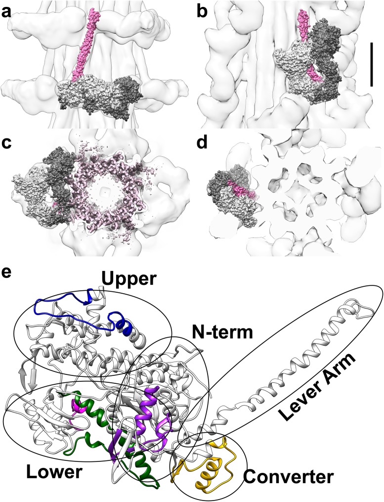 Fig. 1