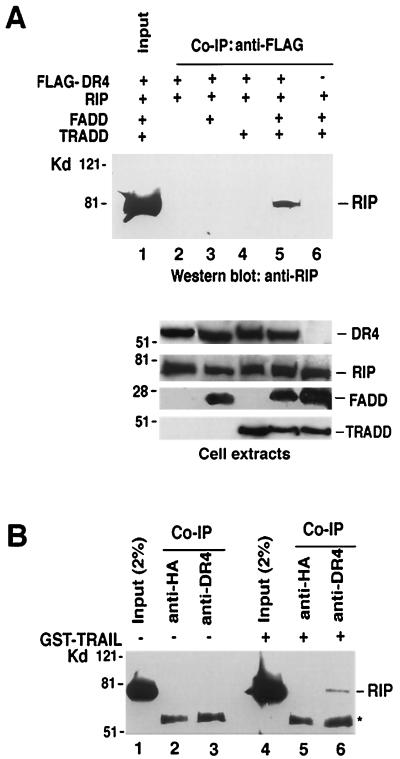 FIG. 6