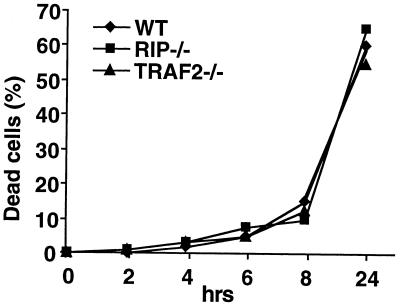 FIG. 7