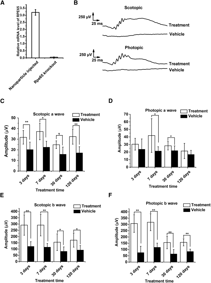 Figure 4