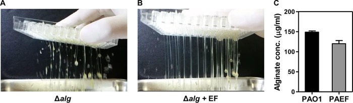 FIG 4