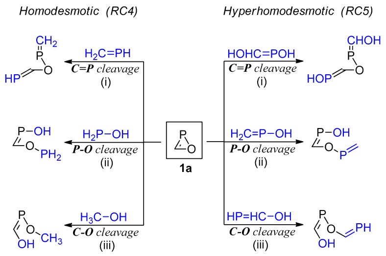 Scheme 5