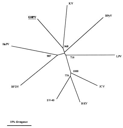 FIG. 6