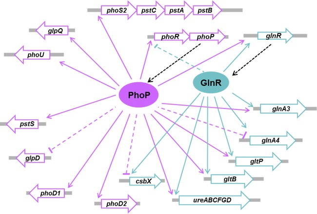 FIG 7