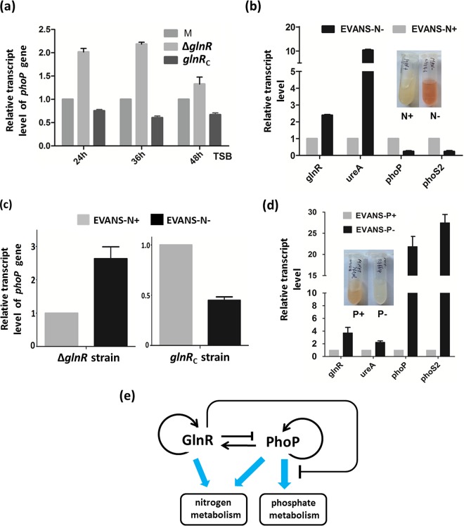 FIG 6