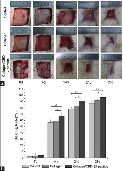 Figure 3: