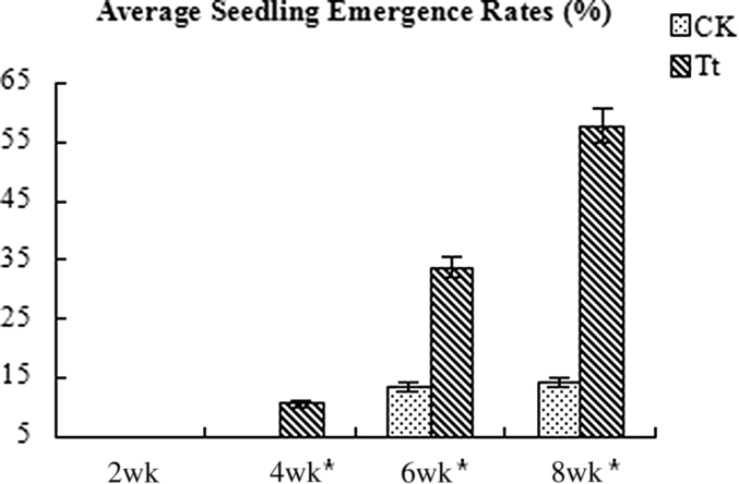 Fig. 8