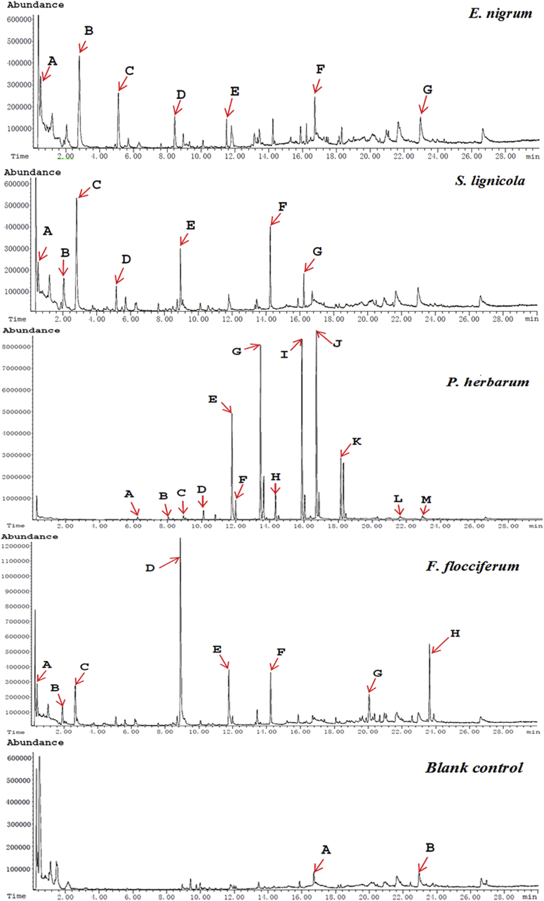 Fig. 7