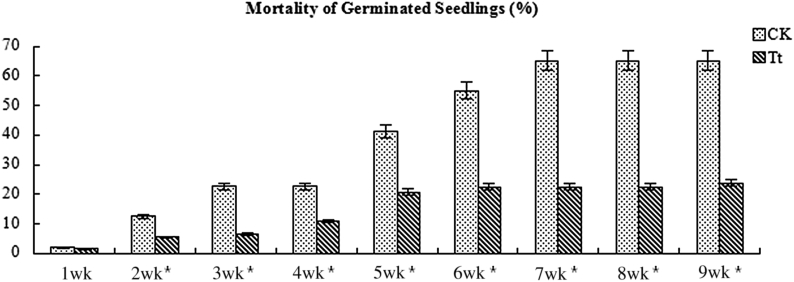 Fig. 9