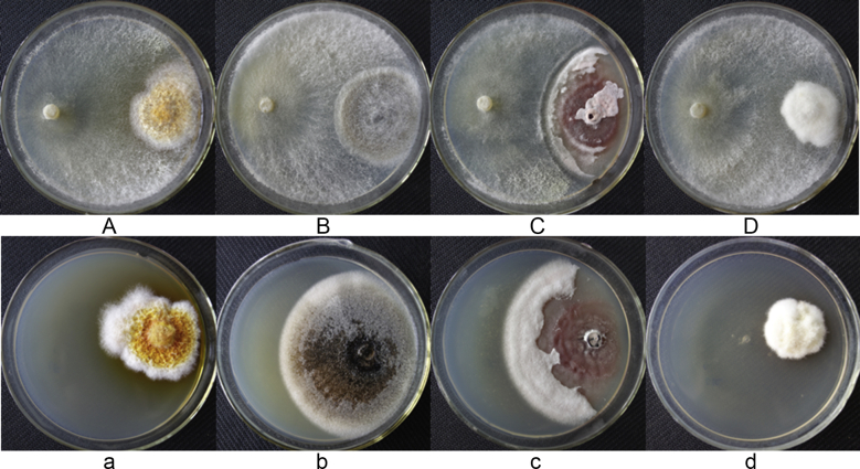 Fig. 3