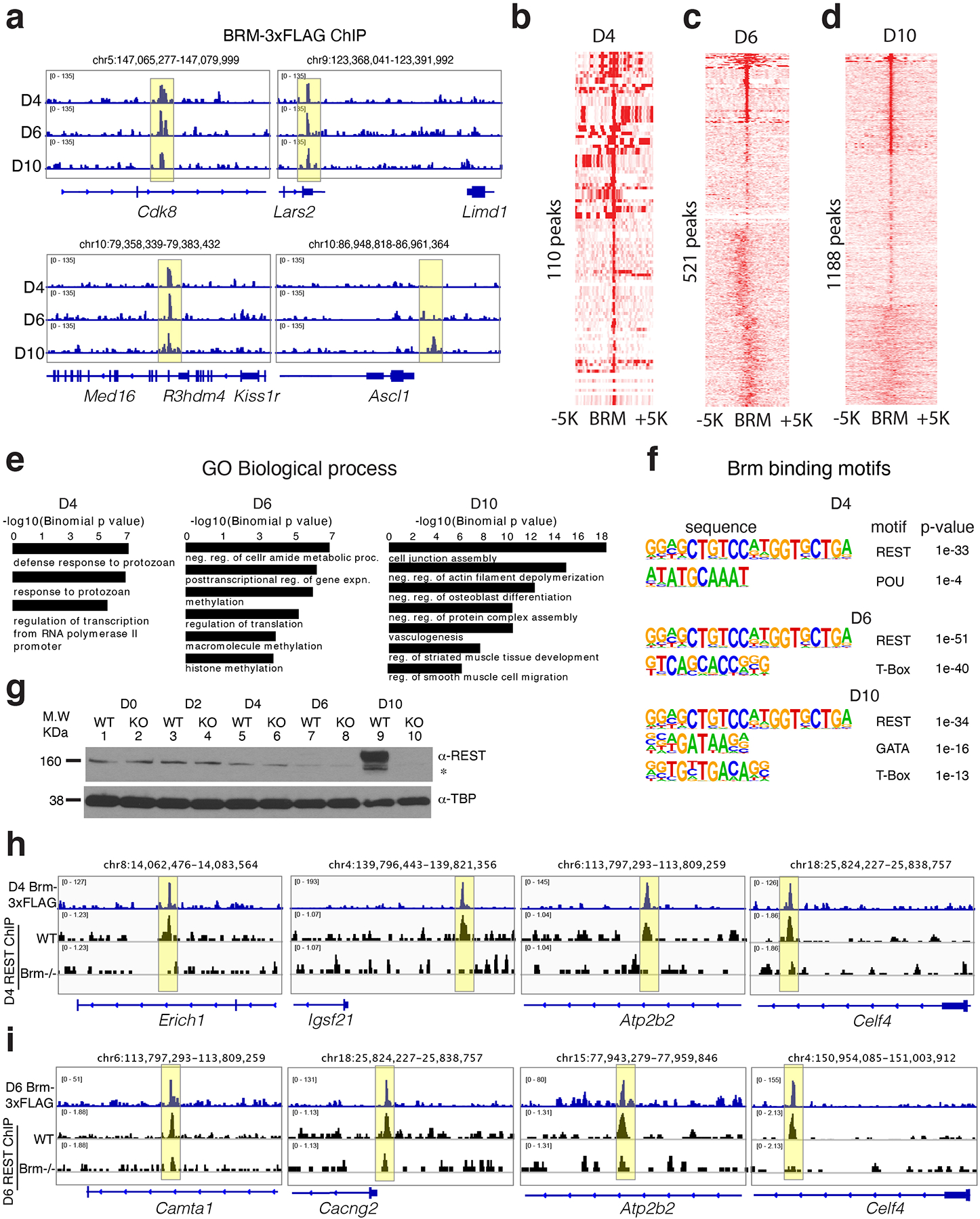 Extended Data Fig. 6.