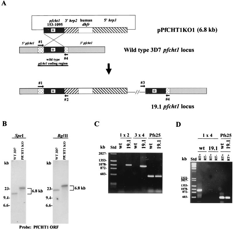 FIG. 1