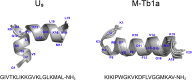 Figure 10