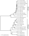 FIG. 1.