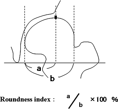 Fig. 1