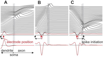 Fig. 5