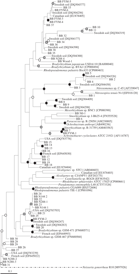 Figure 4.