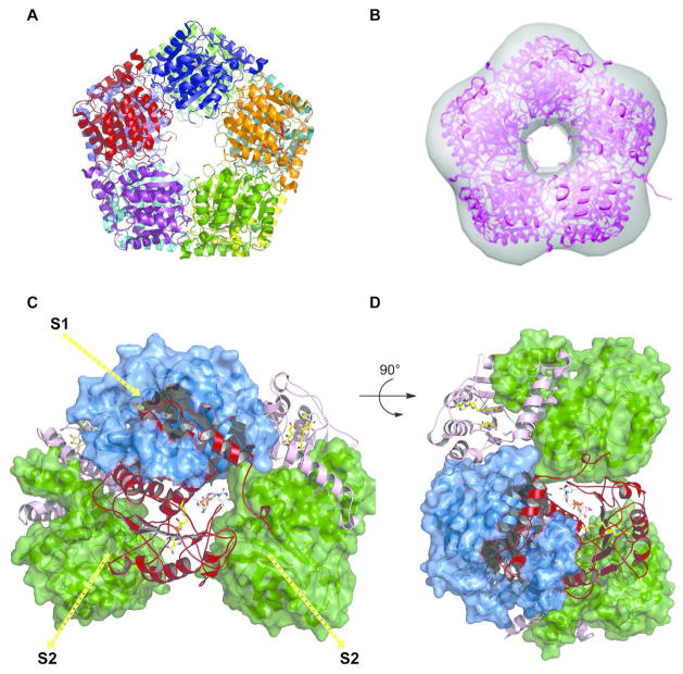 Figure 5