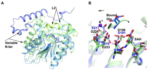 Figure 7