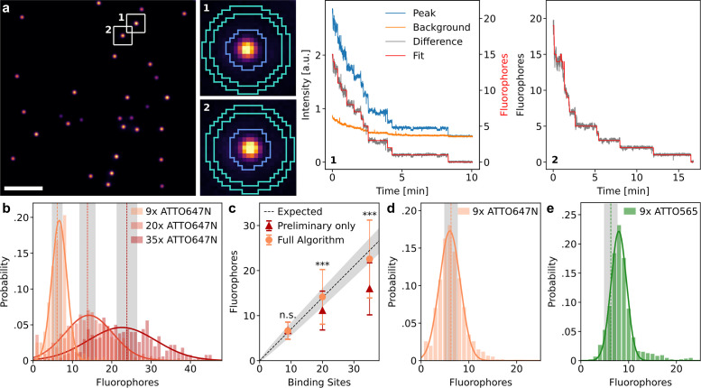 FIGURE 4: