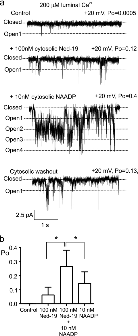 FIGURE 7.